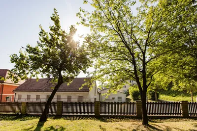 4-Zimmer-Haus mieten in Hartberg-Fürstenfeld – 133 m², € 2.200 – Bild 18 von 29