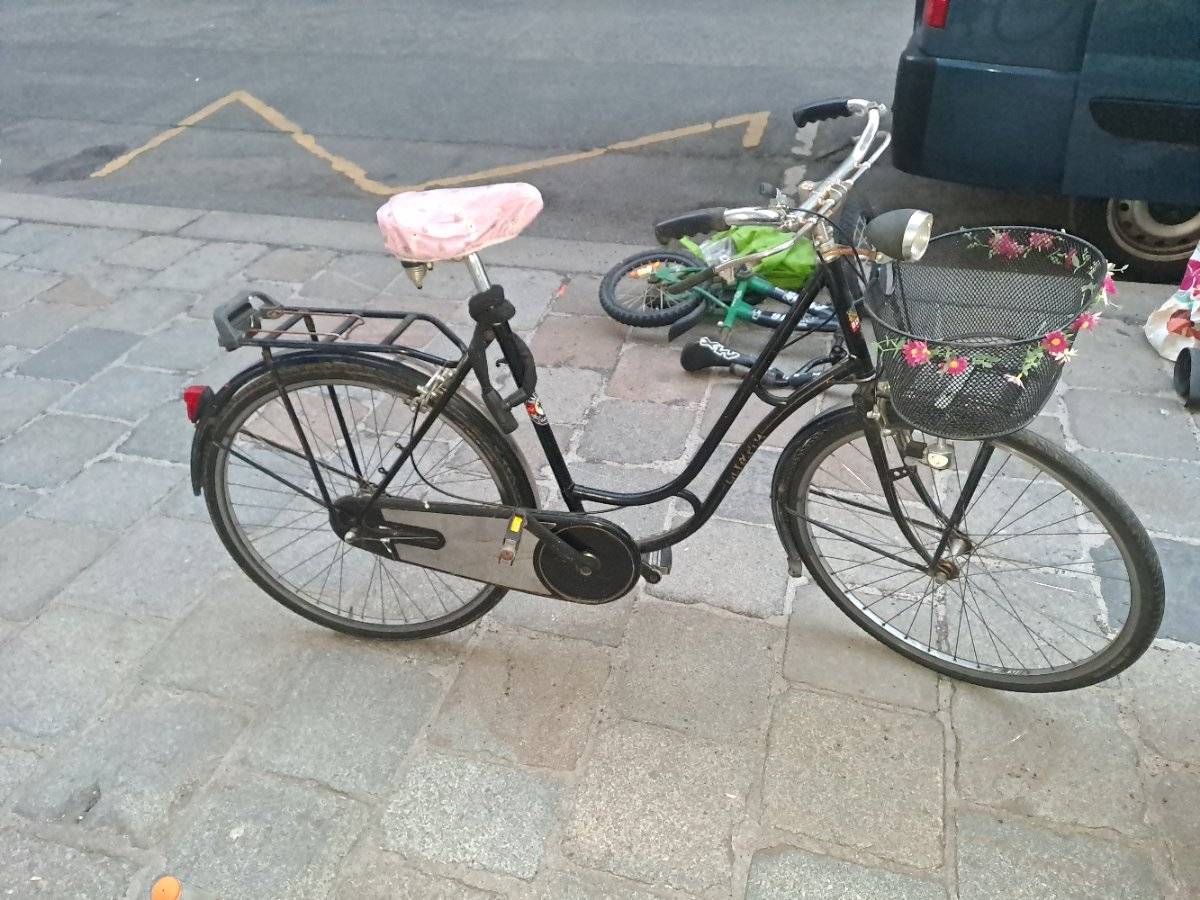 Damenrad 5 Gang mit Korb,  70,- (1010 Wien) - willhaben