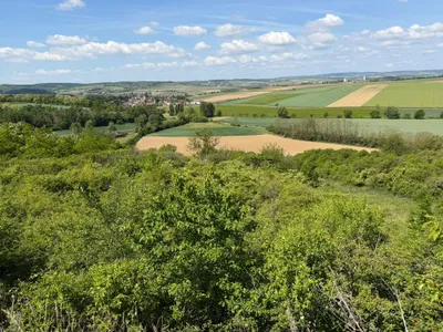 Immobilie kaufen in Hollabrunn – 2 593 m², € 5.650 – Bild 8 von 11