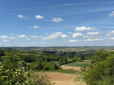 Immobilie kaufen in Hollabrunn – 2 593 m², € 5.650 – Bild 1 von 11