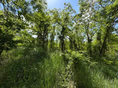 Immobilie kaufen in Hollabrunn – 2 593 m², € 5.650 – Bild 7 von 11