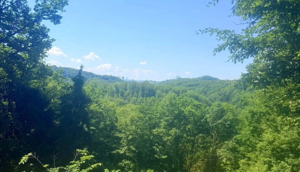 Wohnoase in Ratsch an der Weinstraße - Ansicht 3