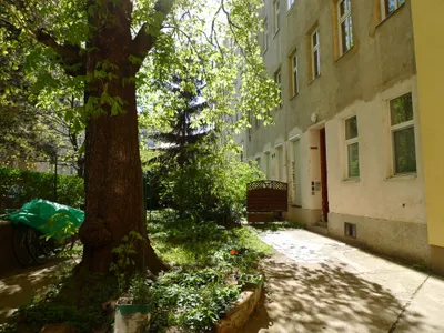 1-Zimmer-Wohnung kaufen in Wien – 30 m², € 119.000 – Bild 4 von 4