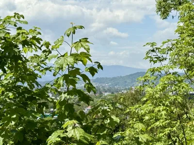 10-Zimmer-Haus kaufen in Graz – 250 m², € 790.000 – Bild 9 von 23