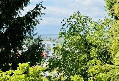 10-Zimmer-Haus kaufen in Graz – 250 m², € 790.000 – Bild 20 von 23
