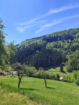 4-Zimmer-Wohnung kaufen in Sankt Pölten Land – 108 m², € 69.000 – Bild 7 von 43