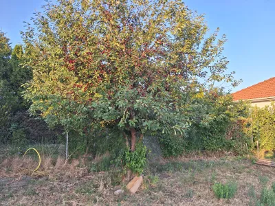 Grundstück kaufen in Wiener Neustadt – 792 m², € 260.000 – Bild 7 von 12