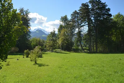 8-Zimmer-Immobilie kaufen in Hallein – 300 m², € 3.975.000 – Bild 5 von 5