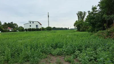 Grundstück kaufen in Gänserndorf – 486 m², € 219.000 – Bild 3 von 4