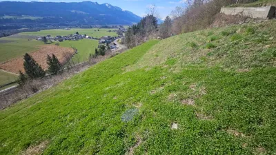 Grundstück kaufen in Villach Land – 500 m², € 35.000 – Bild 7 von 13