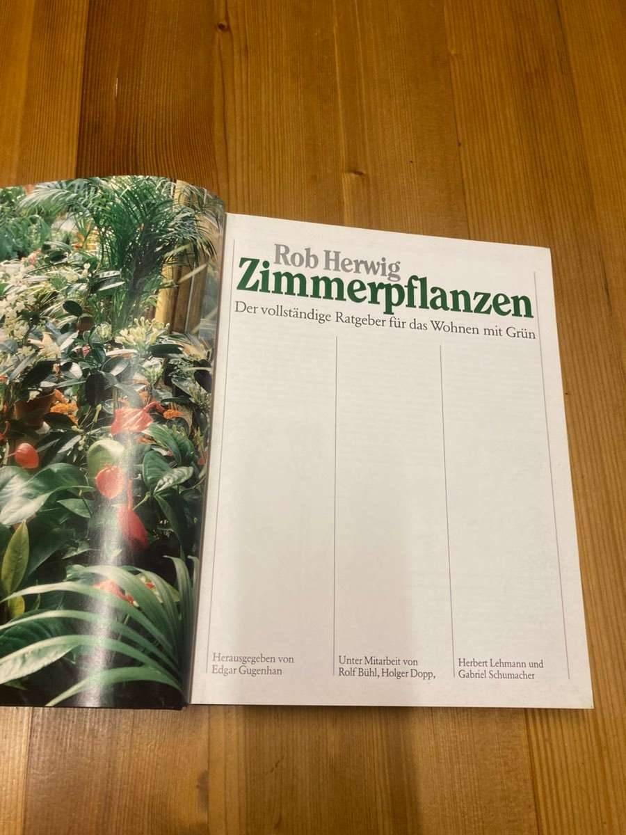 saatgut fr wildacker Buchweizen 5 kg Zertifiziertes Saatgut Reinsaat Wildacker Mischungen   Heinrichs Agrar