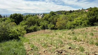 Grundstück kaufen in Baden – 1 890 m², € 389.000 – Bild 2 von 5