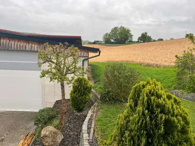 6-Zimmer-Wohnung mieten in Grieskirchen – 75 m², € 875 – Bild 3 von 17