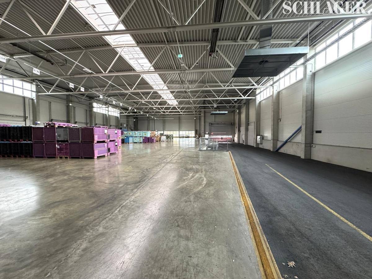 Hochwertige Halle mit Büro in Graz-Ost - Ansicht 3