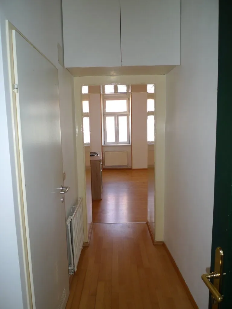 Kleine, feine 1-Zimmer-Altbauwohnung/Nähe Schuhmeierplatz – pohled 3