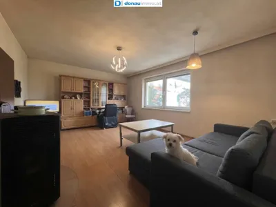 7-Zimmer-Haus kaufen in Hollabrunn – 170 m², € 132.000 – Bild 6 von 17