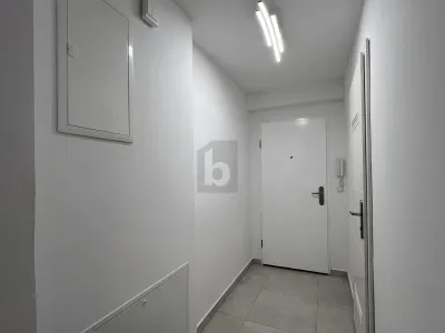 URBAN WOHNEN MIT RUHEFAKTOR ? FRISCH SANIERTE 2-ZIMMER-WOHNUNG – Bild 3