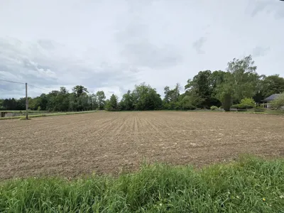 Grundstück kaufen in Südoststeiermark – 2 739 m², € 36.000 – Bild 3 von 4