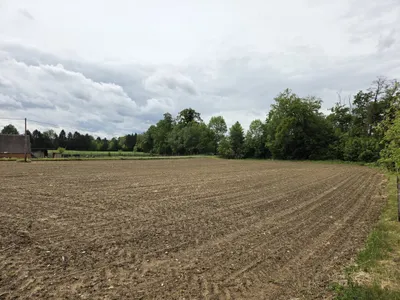 Grundstück kaufen in Südoststeiermark – 2 739 m², € 36.000 – Bild 1 von 4