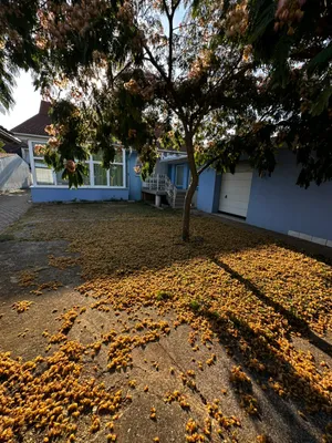 3-Zimmer-Haus kaufen in Neusiedl am See – 120 m², € 290.000 – Bild 4 von 15