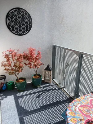2-Zimmer-Wohnung mieten in Baden – 65 m², € 670 – Bild 4 von 18