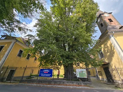 2-Zimmer-Wohnung mieten in Urfahr-Umgebung – 51 m², € 273