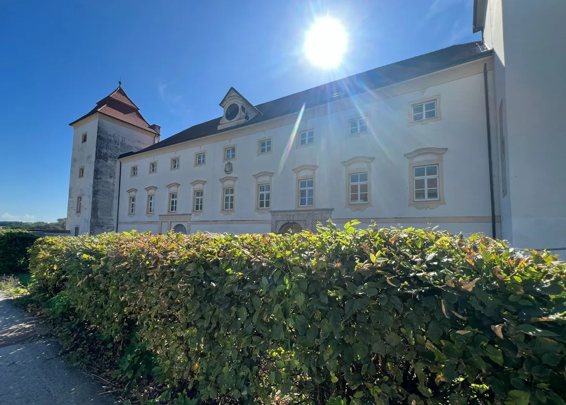 Wohnung – Losensteinleiten - Ansicht 2
