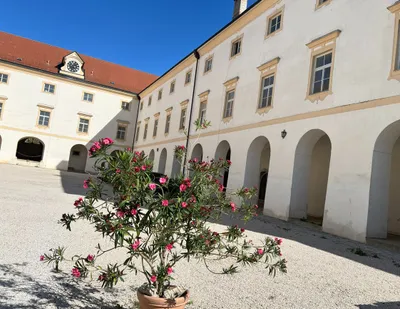 6-Zimmer-Wohnung mieten in Steyr-Land – 178,45 m², € 3.000 – Bild 4 von 15