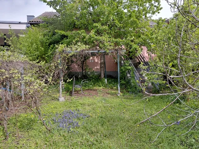 Seewinkel- Illmitz: ein Haus wie ein Guter Wein, mit Garten & großer Scheune ins Hintaus – pohled 2