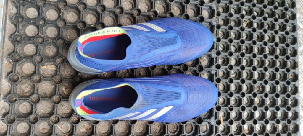 Adidas Predator Stollenschuh