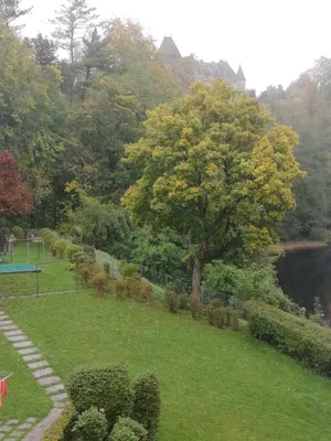 3-Zimmer-Wohnung mieten in Gmunden – 87 m², € 900 – Bild 10 von 18