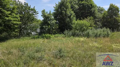 Grundstück kaufen in Gänserndorf – 3 300 m² – Bild 6 von 7