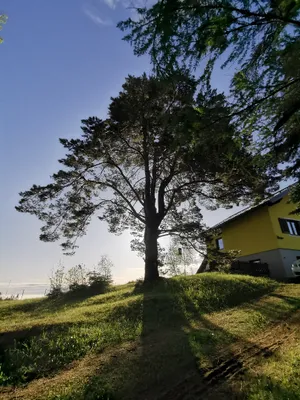 3-Zimmer-Wohnung mieten in Deutschlandsberg – 72 m² – Bild 10 von 14