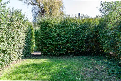 2-Zimmer-Haus mieten in Neusiedl am See – 61 m², € 660 – Bild 12 von 23