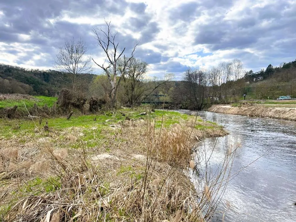 Flussgrundstück am Kamp, Kamptal, Naturschutz - Ansicht 2
