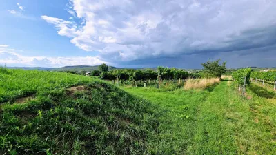 Immobilie kaufen in Krems Land – 1 500 m², € 119.000 – Bild 24 von 27