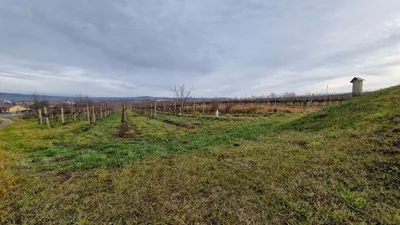 Immobilie kaufen in Krems Land – 1 500 m², € 119.000 – Bild 26 von 27