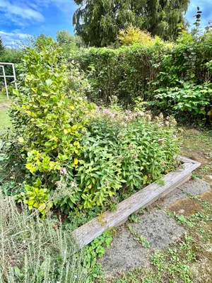 2-Zimmer-Wohnung mieten in Graz – 63 m², € 811 – Bild 62 von 81