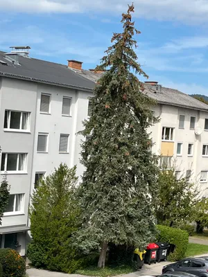 2-Zimmer-Wohnung mieten in Graz – 63 m², € 811 – Bild 55 von 81