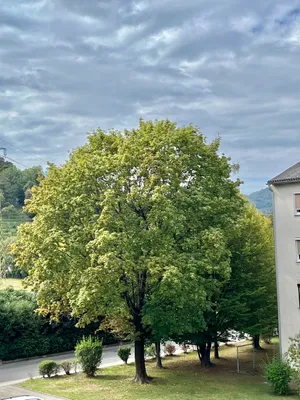 2-Zimmer-Wohnung mieten in Graz – 63 m², € 811 – Bild 56 von 81