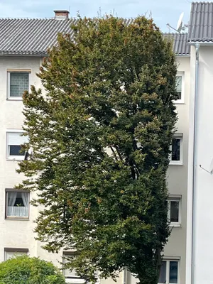2-Zimmer-Wohnung mieten in Graz – 63 m², € 811 – Bild 57 von 81