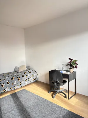 Wohnung mieten in Klagenfurt – 24 m², € 475 – Bild 3 von 7