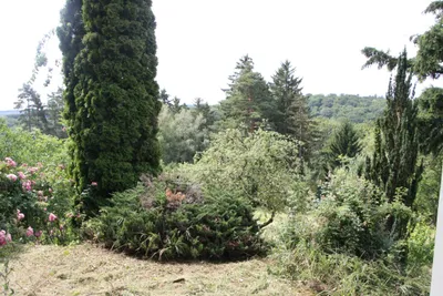 3-Zimmer-Haus kaufen in Tulln – 85 m², € 650.000 – Bild 10 von 13