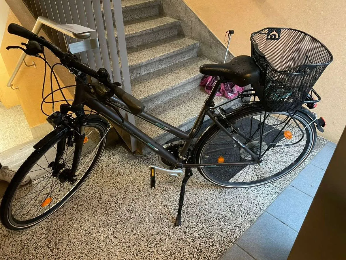 e lastenfahrrad hamburg TYXTYX 16 Zoll Alu Klapp Fahrrad Faltrad Folding Bike 7 Gang,leichtes Mini- Klapprad,Klappfahrrad,Quick-Fold-System mit Doppelscheibenbremse, Outdoor-Radfahren Sport & Freizeit JAW-19KN-125 - RLS JAW-19KN-125 Gebinde:1.5kg LXT Gloves