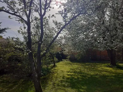 Grundstück kaufen in Wels-Land – 777 m², € 219.000 – Bild 22 von 32