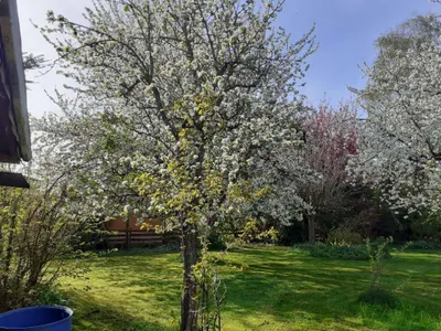 Grundstück kaufen in Wels-Land – 777 m², € 219.000 – Bild 19 von 32