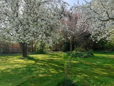 Grundstück kaufen in Wels-Land – 777 m², € 219.000 – Bild 20 von 32