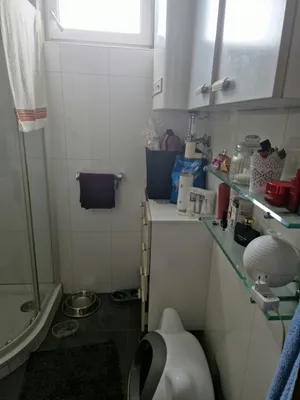 3-Zimmer-Wohnung mieten in Graz – 59 m², € 850 – Bild 8 von 8