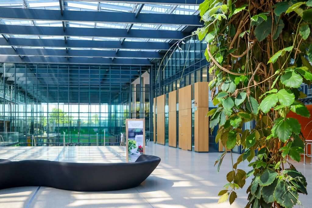Lagerflächen mit guter Infrastruktur im Kellergeschoß - Ansicht 3