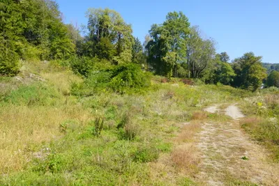 Grundstück kaufen in Klagenfurt Land – 19 000 m², € 14.000.000 – Bild 6 von 6